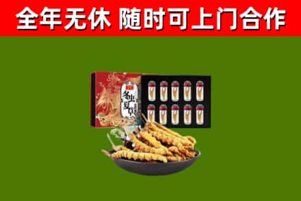 塔城烟酒回收冬虫夏草礼盒.jpg
