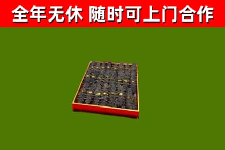 塔城烟酒回收海参.jpg